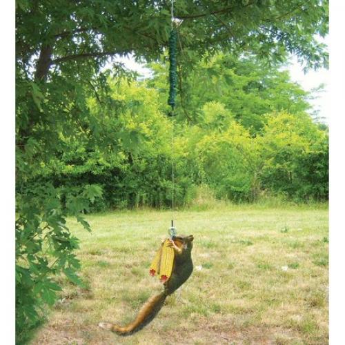 Squirrel Bungee Feeder