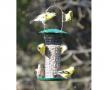 Petite Sunflower/thistle Feeder