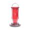 Starburst Hummingbird Feeder