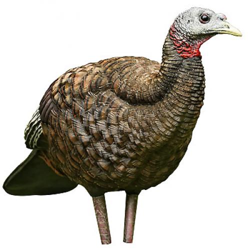 Breeder Hen Turkey Decoy