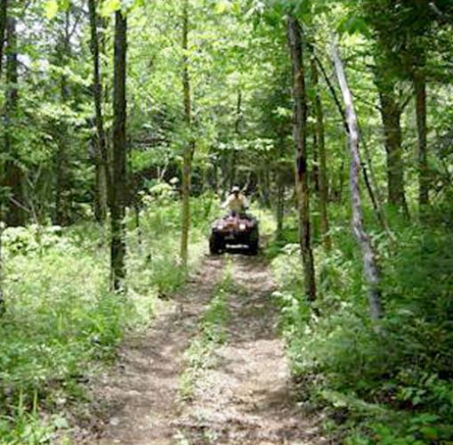 Dnr Road & Trail Mix Ctd