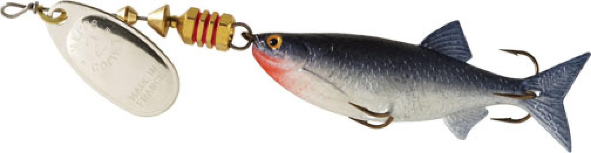 1/4-OZ Silv Minnow w/ Gold Spoon