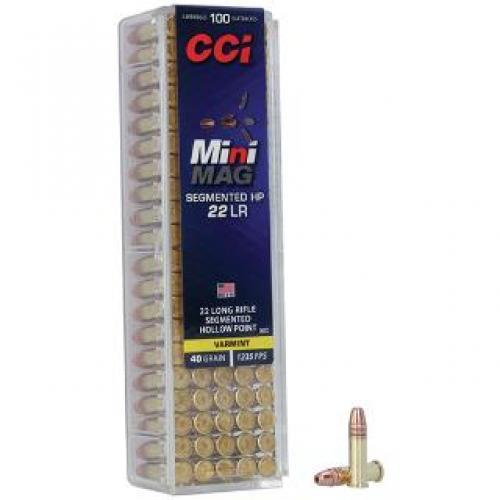 22 Lr 40gr Mini Mag 100 Cnt