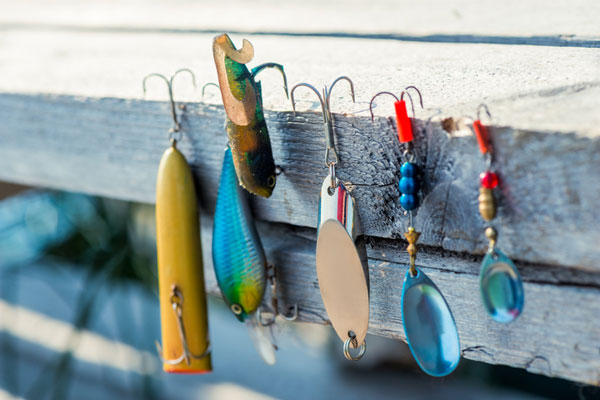 Baits & Lures