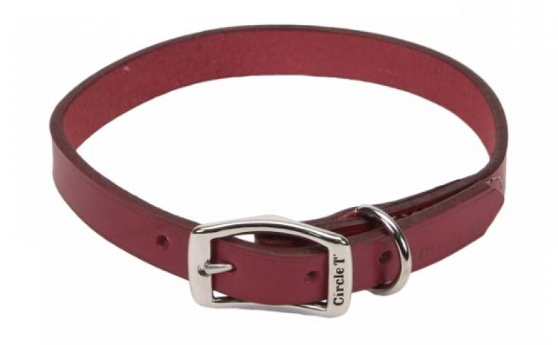 12" Leather Dog Collar