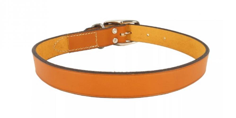 10" Leather Dog Collar