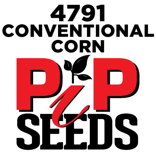Pip 4791 Seed Corn Conventional