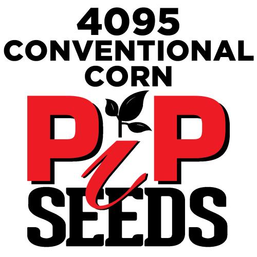 Pip 4095 Seed Corn Conventional