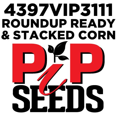 Pip 4397 Vip3111 Gt Seed Corn