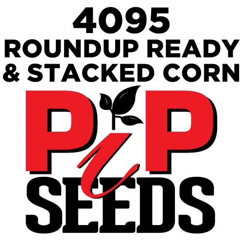 Pip 4095 Gt Seed Corn
