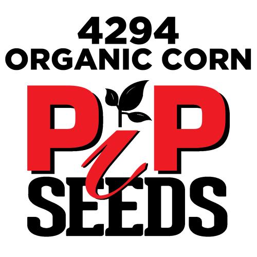Pip 4294 Organic Seed Corn