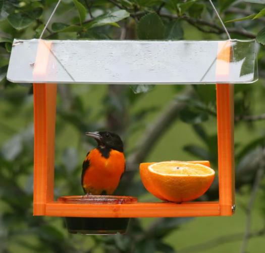 Recycled Plastic Oriole Feeder