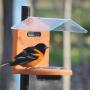 Pole Mounted Oriole Jelly Feeder