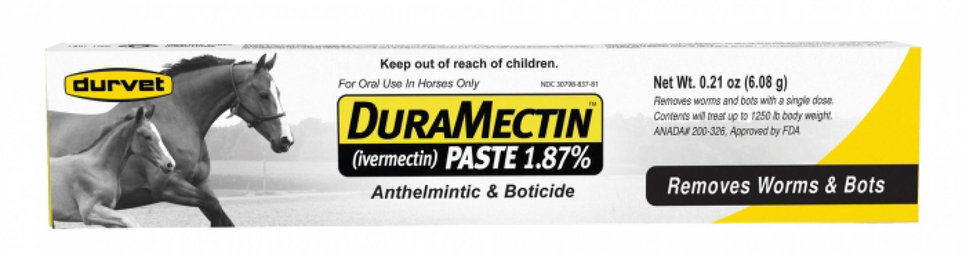 Departments Ivermectin Horse Wormer Paste