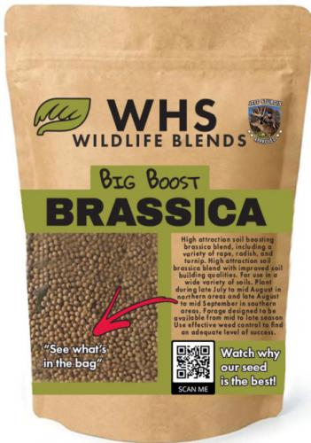 Big Boost Brassica Plot Seed