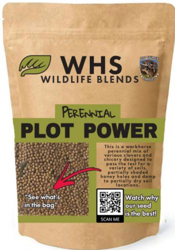 Perennial Plot Power Seed
