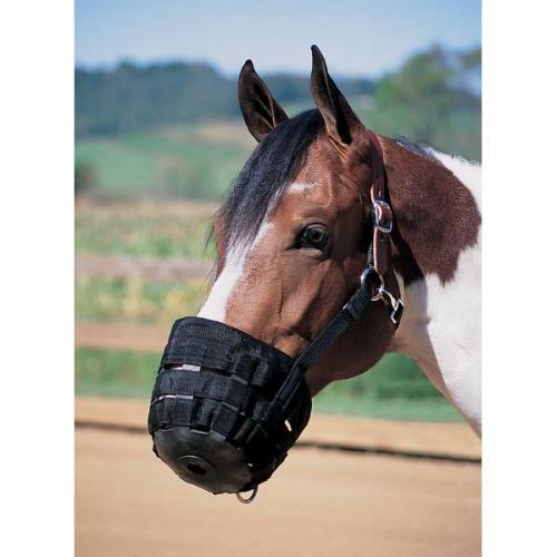 Horse Grazing Muzzle Lg