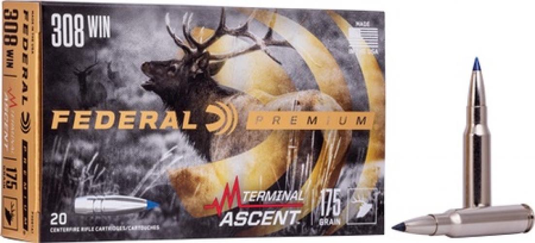 308 Win 175gr Treminal Ascent