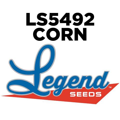 Legend Ls5492 Convention Corn Mf