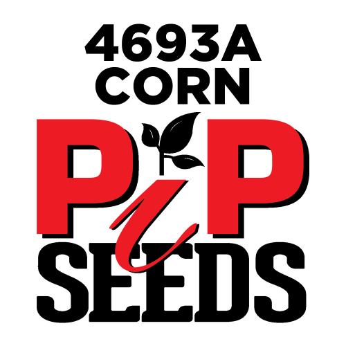 Pip 4693a Seed Corn Conventional