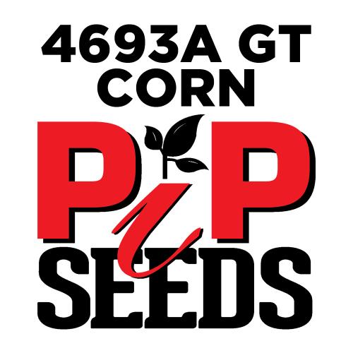 Pip 4693 Gta Seed Corn