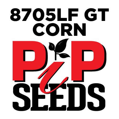 Pip 8705lf Gt Leafy Silage Corn