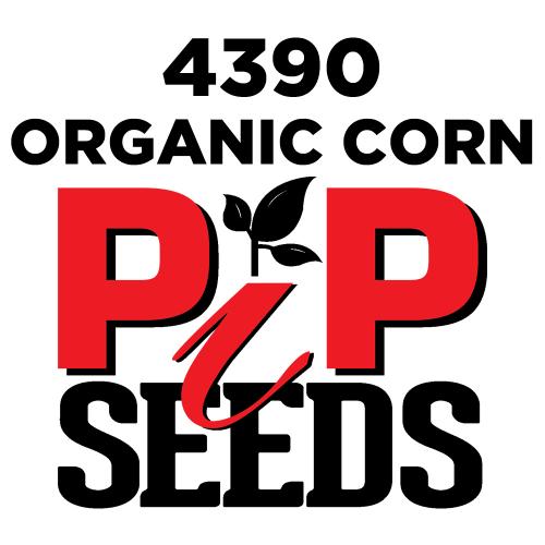 Pip 4390 Organic Seed Corn