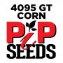 Pip 4095 Gt Vip3110 Seed Corn