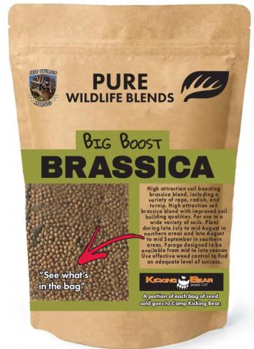 Big Boost Brassica Plot Seed