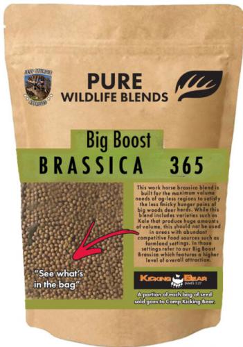 Big Boost Brassica 365 Plot Seed