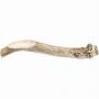 Whole Deer Antler Sm/md