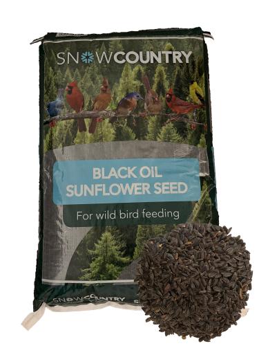 Black Oil Sunflower Seed