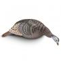 Strut-lite Feeding Hen Decoy
