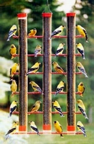 Finch Favorite 3 Tube Feeder