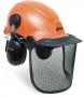 Complete Forestry Helmet System