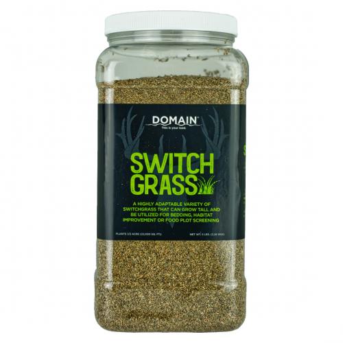 Rc Big Rock Switchgrass