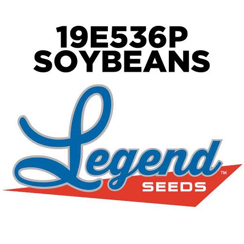 19e536p Enlist Soybean Seed