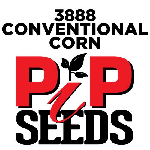 Pip 3888 Seed Corn Conventional