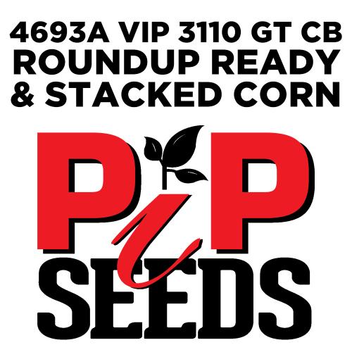 Pip 4693a Vip 3110 Gt Seed Corn