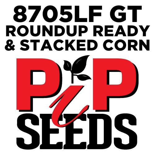 Pip 8705lf Gt Leafy Silage Corn