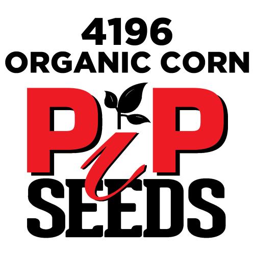 Pip 4196 Organic Seed Corn