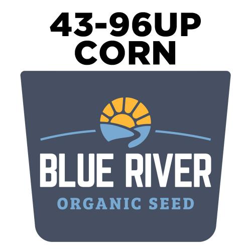 Blue River 43-96p Organic Corn