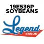 19e536p Enlist Soybean Seed