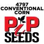Pip 4797 Seed Corn Conventional