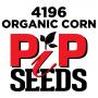 Pip 4196 Organic Seed Corn