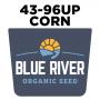 Blue River 43-96p Organic Corn