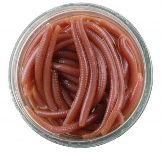Gulp Alive Angle Worm 1" Natural
