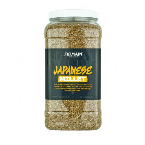 Japanese Millet 4#
