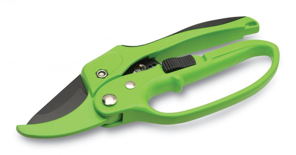 Heavy-duty Ratchet Shears