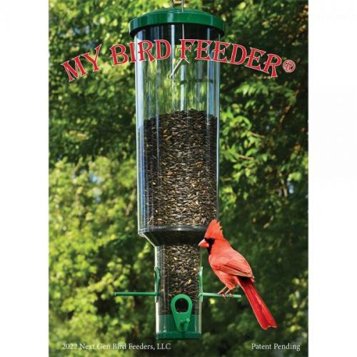 My Bird Feeder